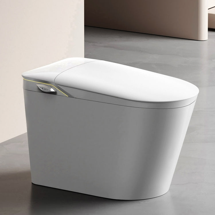 Smart Toilets & Bidet Toilets NZ | Integrated Smart Toilets NZ