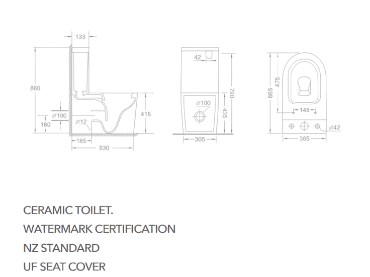 NIERSI BACK TO WALL TOILET SUITE - GLOSS WHITE