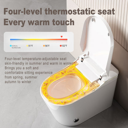 Iris Intelligent Smart Toilet NZ | One-Piece Bidet Toilet with Auto Flip Lid, Heated Seat, Warm Air Dryer & Night Light – White