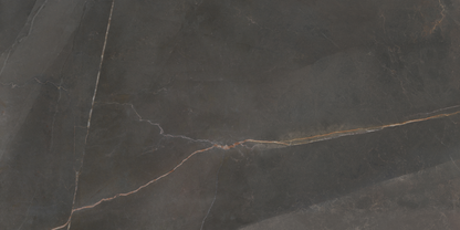 EMERITA DARK MATTE PORCELAIN TILE 600X1200MM - $89/SQM - The Tile Collection™
