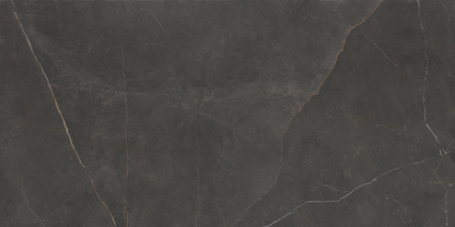 EMERITA DARK MATTE PORCELAIN TILE 600X1200MM - $89/SQM - The Tile Collection™