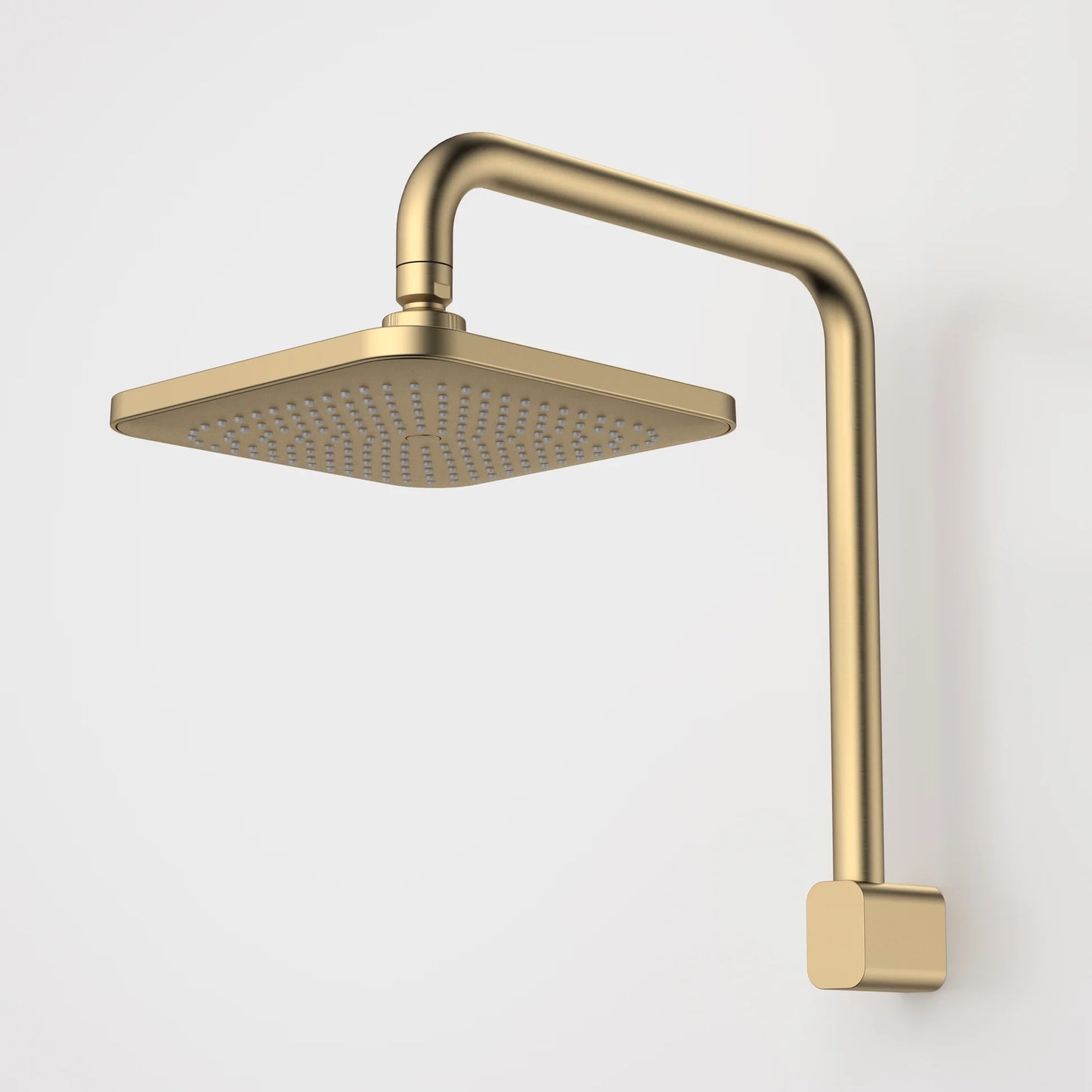 Caroma Luna Fixed Overhead Shower - Brushed Brass