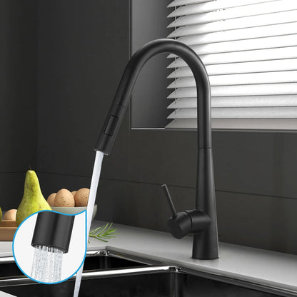 ROMA GOOSENECK PULLOUT KITCHEN SINK MIXER | 5 COLOURS - The Tile Collection™