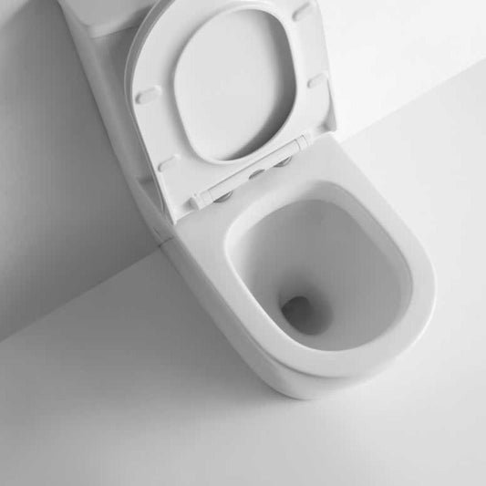 NIERSI BACK TO WALL TOILET SUITE 665*365*860MM - The Tile Collection